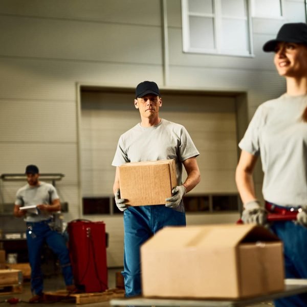 movers and packers abu dhabi